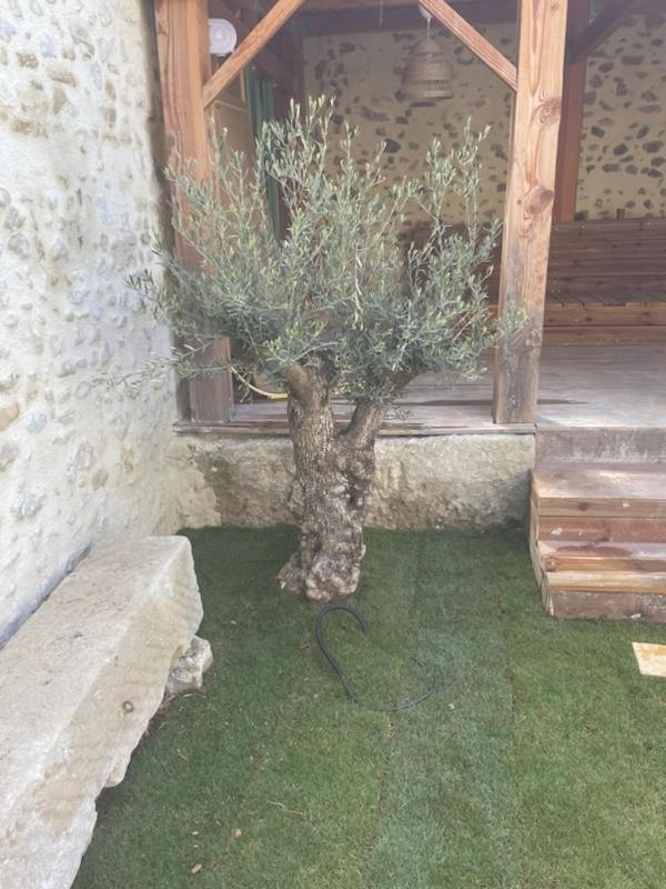 Drome Provencale Maison Familiale Calme Dans Village Valréas Buitenkant foto